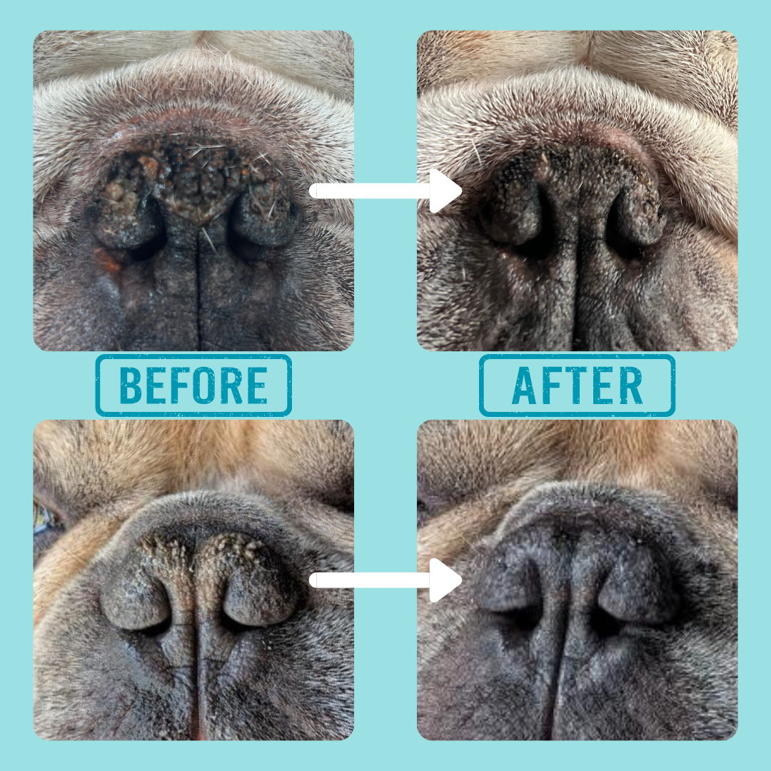 Nose and Paw Balm (EXTRA LARGE 150ml)