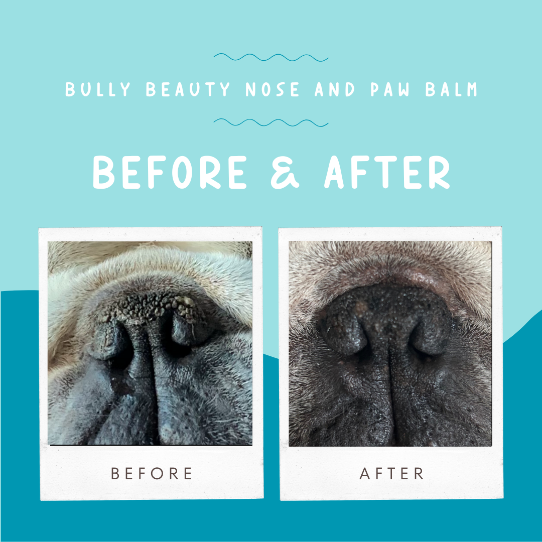 Nose and Paw Balm