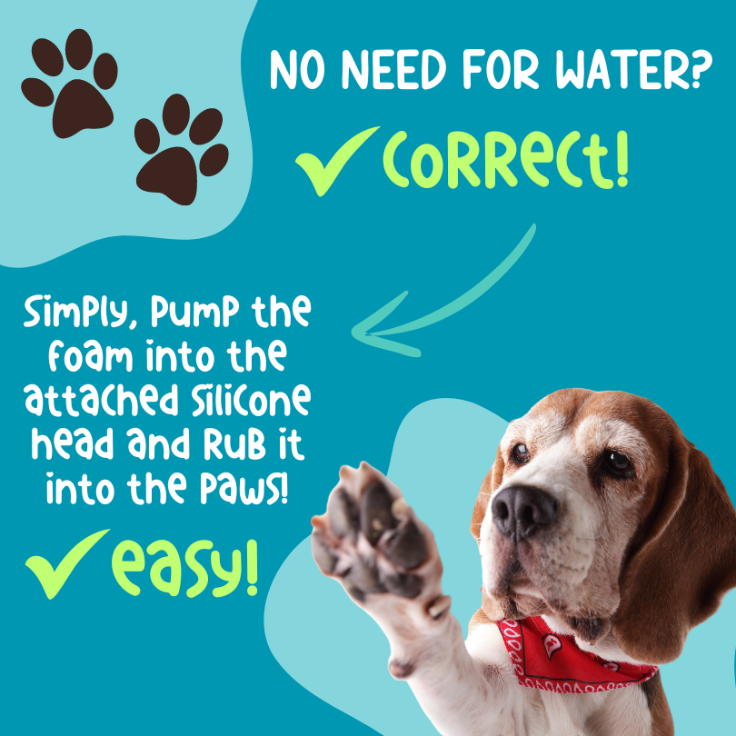 Waterless 'No Rinse' Paw Shampoo