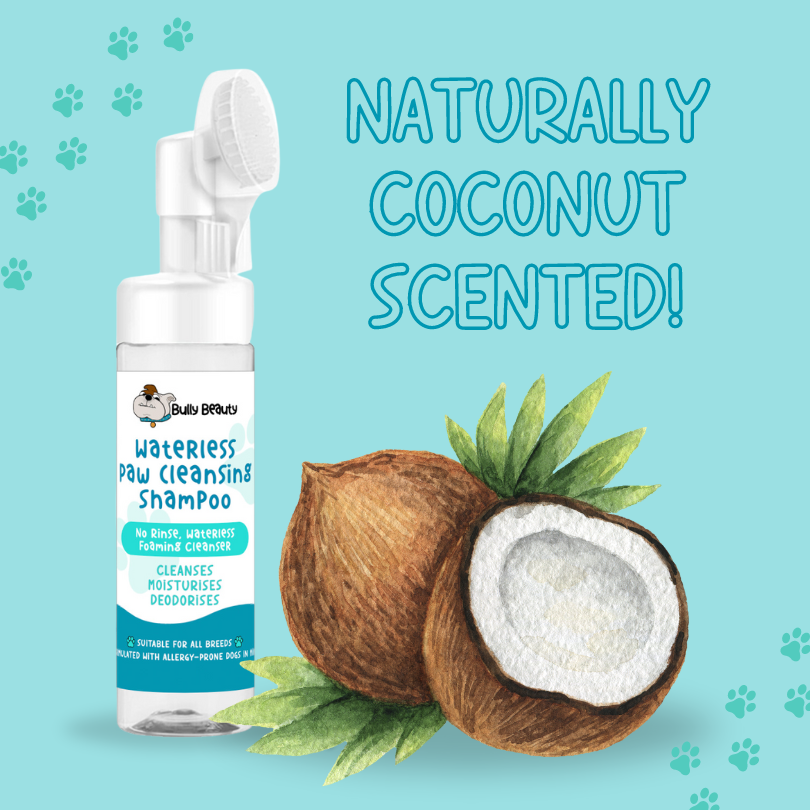 Waterless 'No Rinse' Paw Shampoo