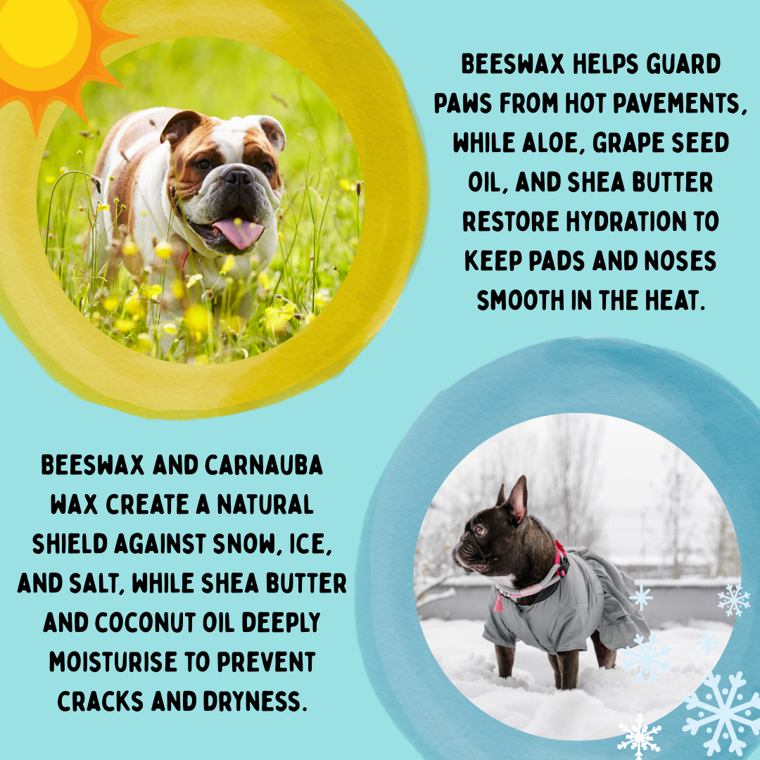 Nose and Paw Balm (EXTRA LARGE 150ml)