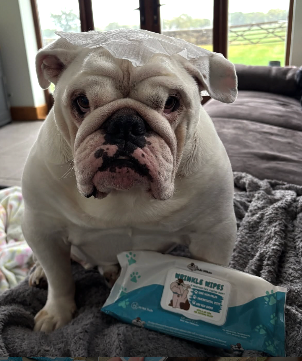 BullyBeauty® Wrinkle Wipes