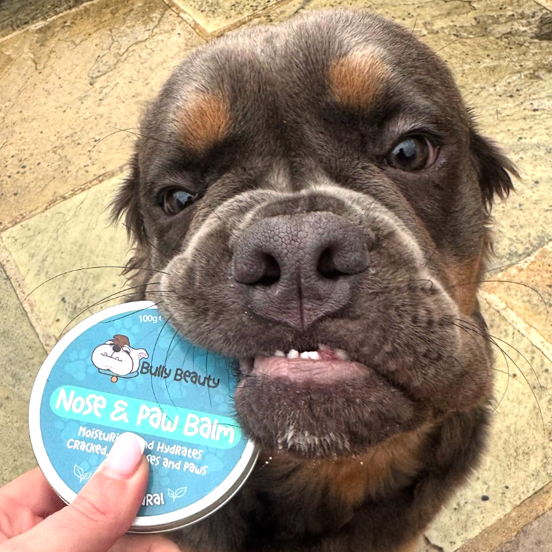 Nose and Paw Balm