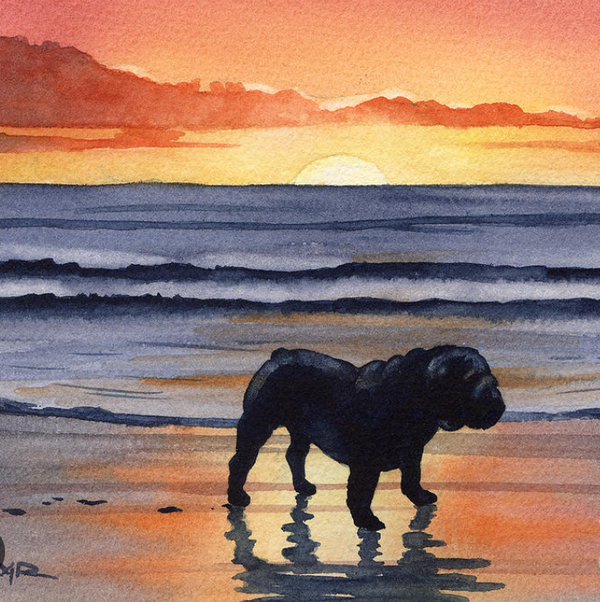 Hunter 2018-2025 🐾 🌈 🪽