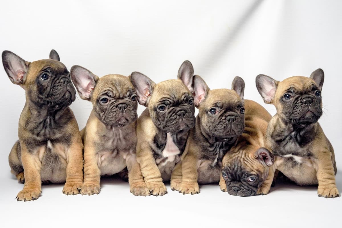 Why Our Wipes Are 100% Alcohol Free!