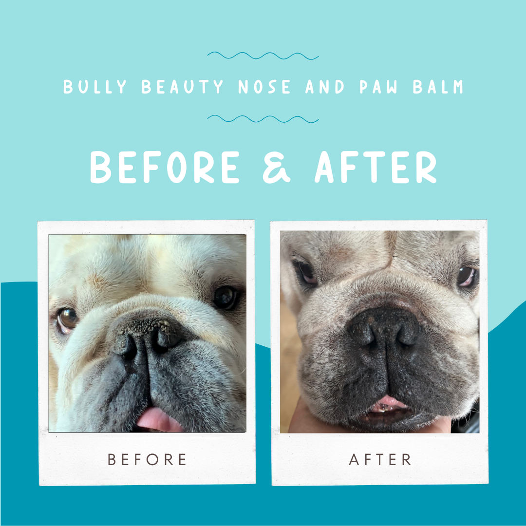 Nose and Paw Balm