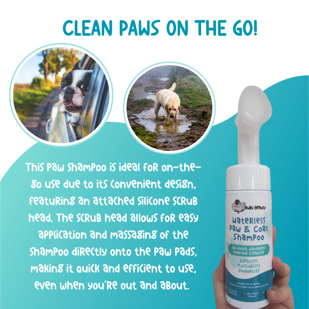 Waterless 'No Rinse' Paw Shampoo