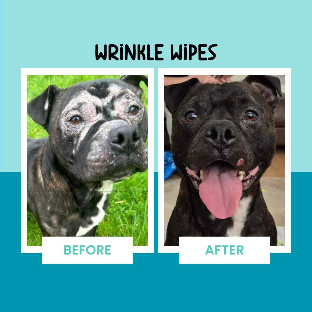 BullyBeauty® Wrinkle Wipes