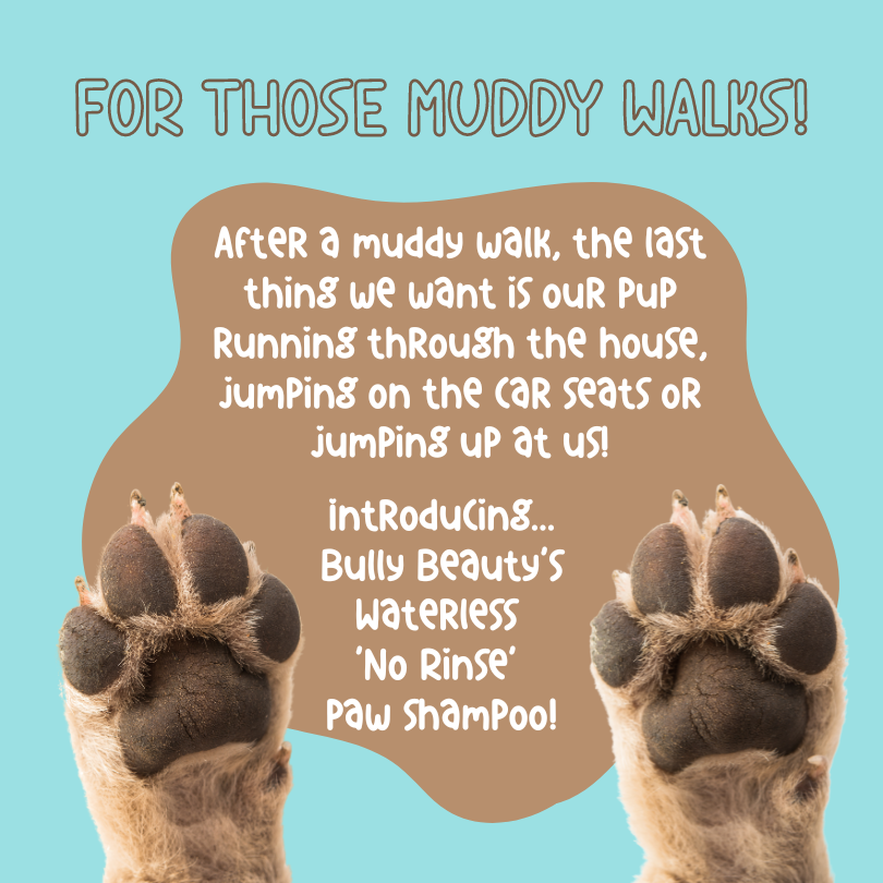 Rinseless Paw Cleansing Shampoo