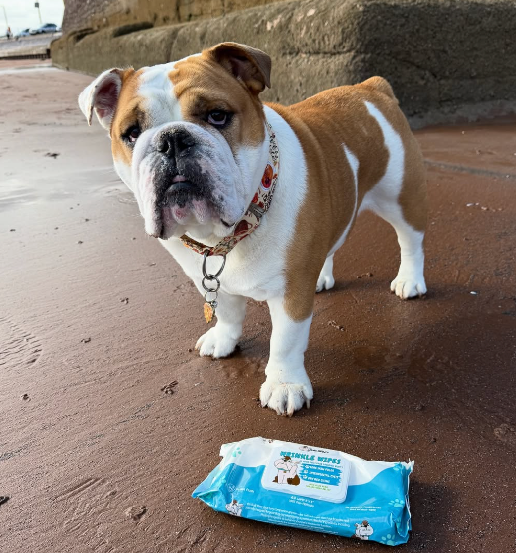 BullyBeauty® Wrinkle Wipes