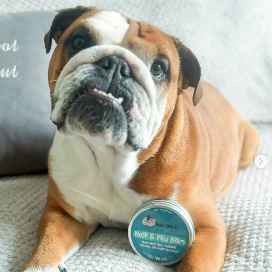 Nose and Paw Balm